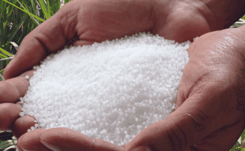 India’s States Raise Alarm Over Urea Shortage Amid Kharif Season Demand