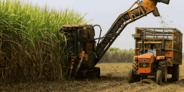 साखर उद्योगाची टेंडर दर पुनरावलोकन