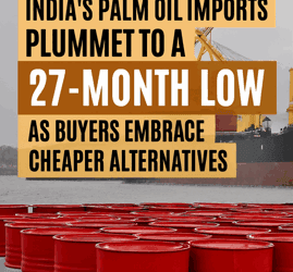 Palm Oil Imports