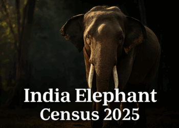 India Elephant Census 2025