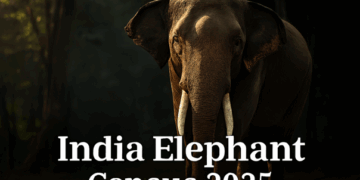 India Elephant Census 2025