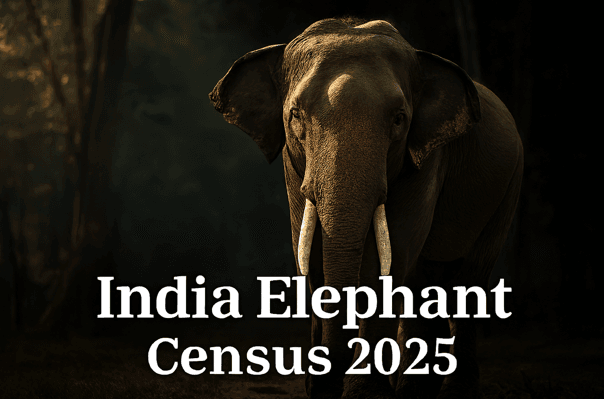 India Elephant Census 2025