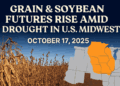 Grain and Soybean