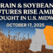 Grain and Soybean