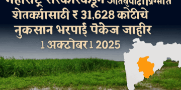 नुकसान भरपाई