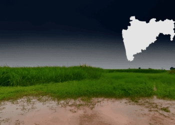 रब्बी हंगामासाठी शेतकऱ्यांना हेक्टरी ₹१०,००० अनुदान; सरकारचा मोठा निर्णय