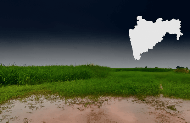 रब्बी हंगामासाठी शेतकऱ्यांना हेक्टरी ₹१०,००० अनुदान; सरकारचा मोठा निर्णय